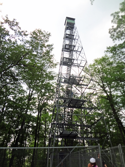 Karen Duquette looks up at the Aiton Heights Fire Tower in Itasca State Park
